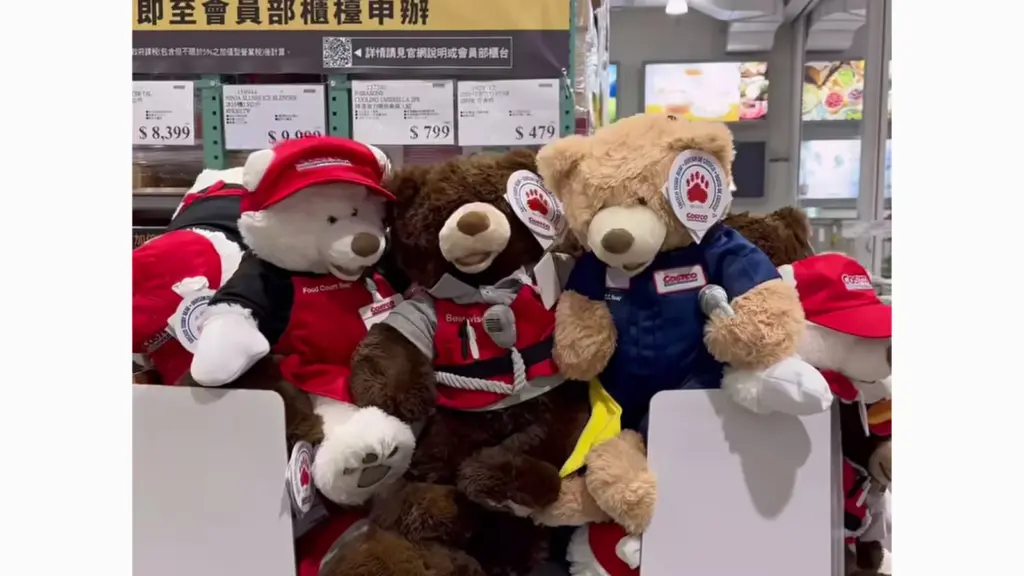 COSTCO 好市多 好市多熊 25IN COSTCO BEAR 賣場新發現｜好市多 好市多熊 25吋好市多熊 Costco員工制服造型超可愛 image 1
