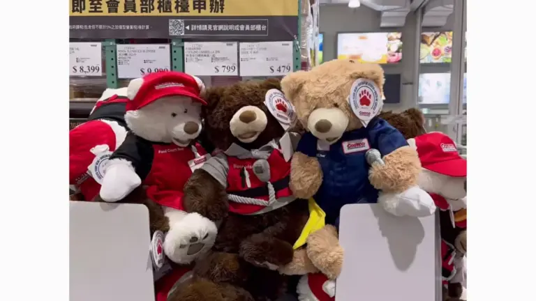 COSTCO 好市多 好市多熊 25IN COSTCO BEAR 賣場新發現｜好市多 好市多熊 25吋好市多熊 Costco員工制服造型超可愛